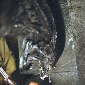 Foto Alien vs. Predator