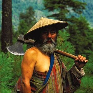 Foto Viajeros y magos