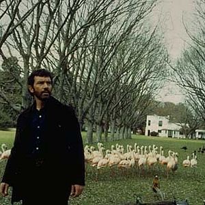 Foto Antonio Banderas