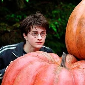 Foto Harry Potter y el Prisionero de Azkaban