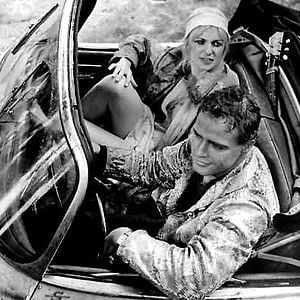 Foto Piel de serpiente