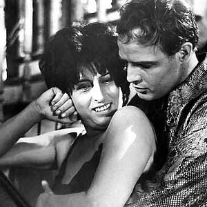 Foto Piel de serpiente