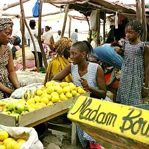 Foto Madame Brouette