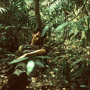 Foto Tropical Malady