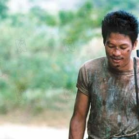 Foto Tropical Malady