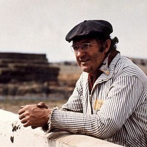 Foto Espantapájaros