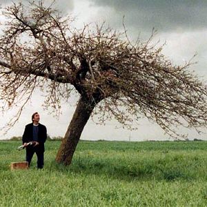 Foto Dominique Boccarossa