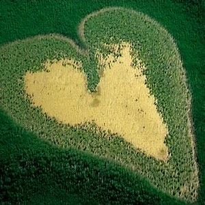 Foto Renaud Delourme