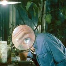 Foto Los carniceros verdes