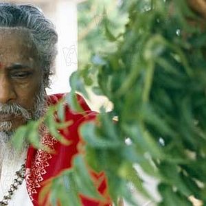 Foto Ayurveda: El Arte de Vivir