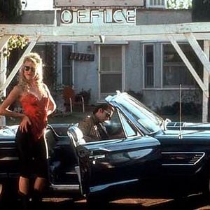 Foto Corazón salvaje