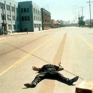 Foto Corazón salvaje