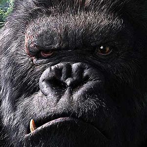 Foto King Kong