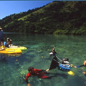 Foto Greg MacGillivray