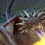 Foto Harry Potter y el Cáliz de Fuego