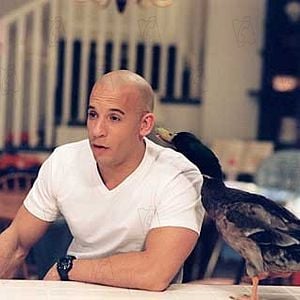 Foto Un canguro superduro