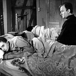 Foto Les amitiés particulières