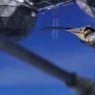 Foto Stealth: La amenaza invisible