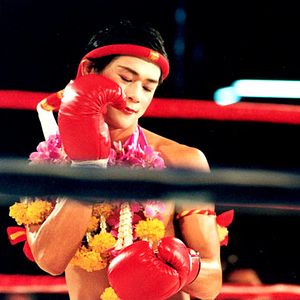 Foto Beautiful boxer