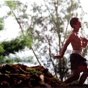 Foto Beautiful boxer