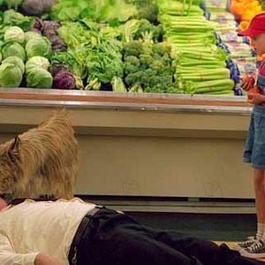 Foto AnnaSophia Robb