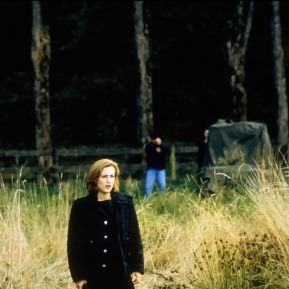 Foto Gillian Anderson