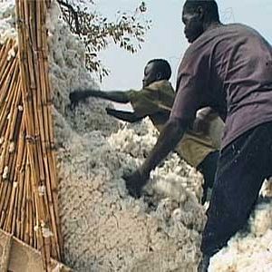 Foto Olivier Zuchuat