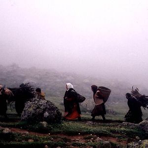 Foto Yeşim Ustaoğlu