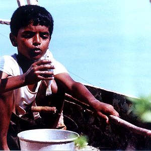 Foto Mohammad Rasoulof