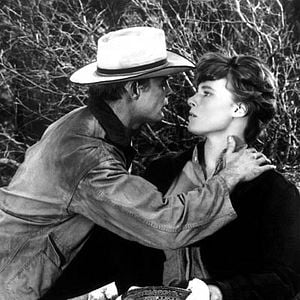 Foto Duelo en la alta sierra