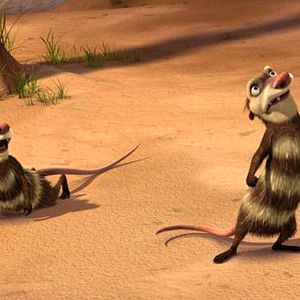 Foto Carlos Saldanha