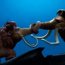 Foto Carlos Saldanha