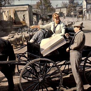 Foto Furia en el valle