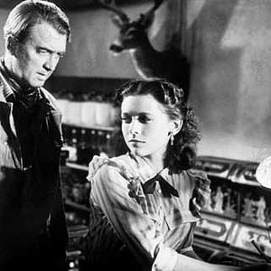 Foto El hombre de Laramie