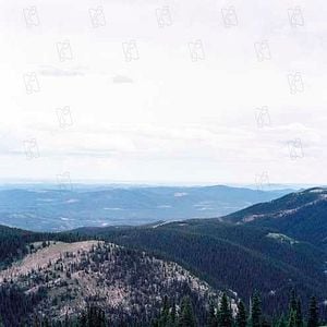 Foto Brokeback Mountain. En terreno vedado