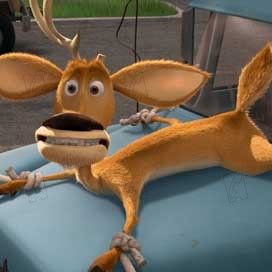 Foto Colegas en el bosque