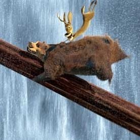 Foto Colegas en el bosque