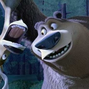 Foto Colegas en el bosque