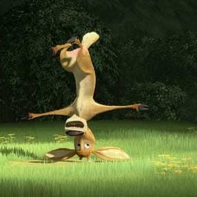 Foto Colegas en el bosque