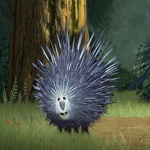 Foto Colegas en el bosque