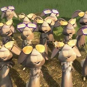 Foto Colegas en el bosque