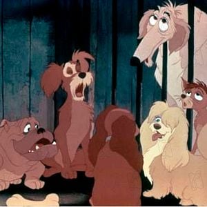 Foto La dama y el vagabundo