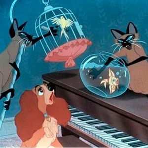 Foto La dama y el vagabundo