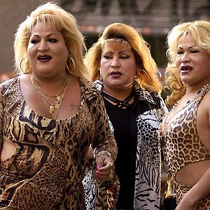 Foto 20 Centímetros