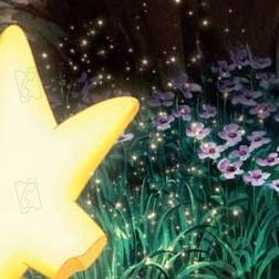 Foto La Estrella de Laura