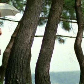 Foto Jun Ichikawa (II)