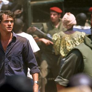 Foto Disparando a perros