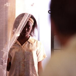 Foto Disparando a perros