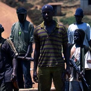 Foto Disparando a perros