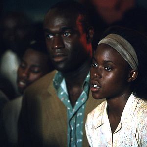 Foto Disparando a perros